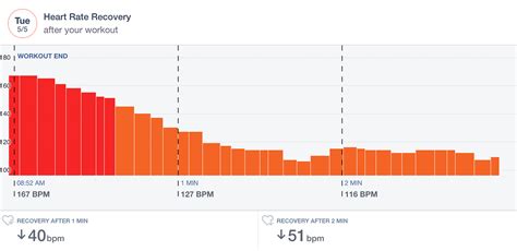 hrr|Heart Rate Recovery: Why It’s Important & How to Track It.